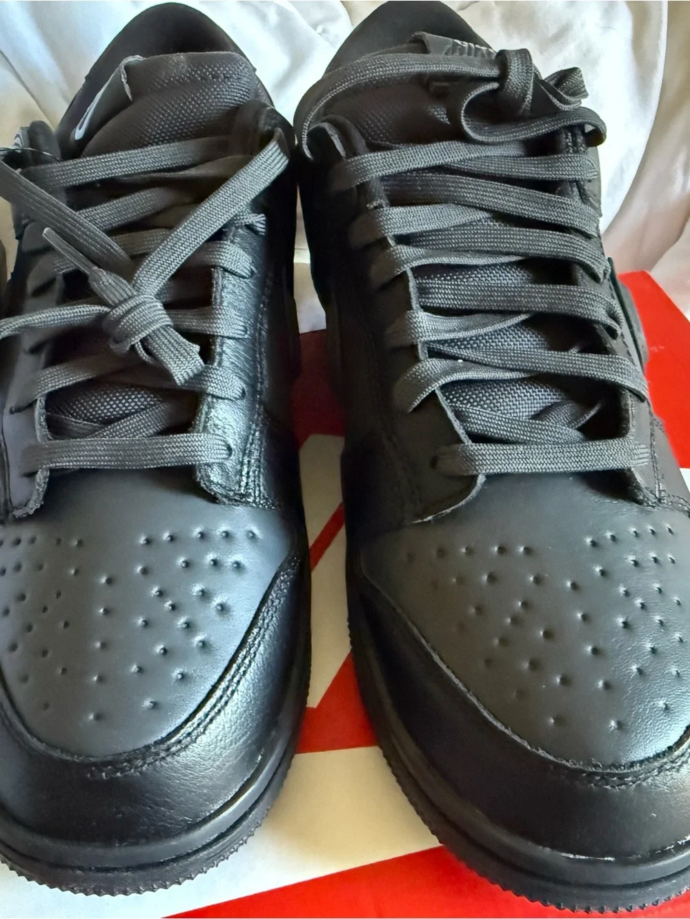 Nike Men’s Black Low-Top Leather Sneakers with GORE-TEX